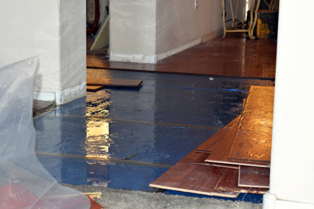 Professional Basement Flood Cleanup technician working in Oneonta, NY
